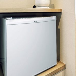 LG 48L SINGLE DOOR REFRIGERATOR GL-051SQQP