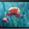 SAMSUNG 13" Full HD Small Display LH13QBRTBGCXEN