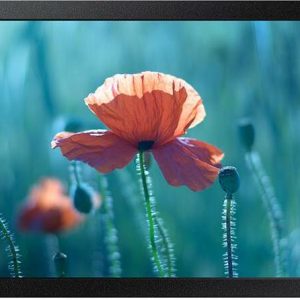 SAMSUNG QBR 13" Full HD Small Display LH13QBREBGCXEN